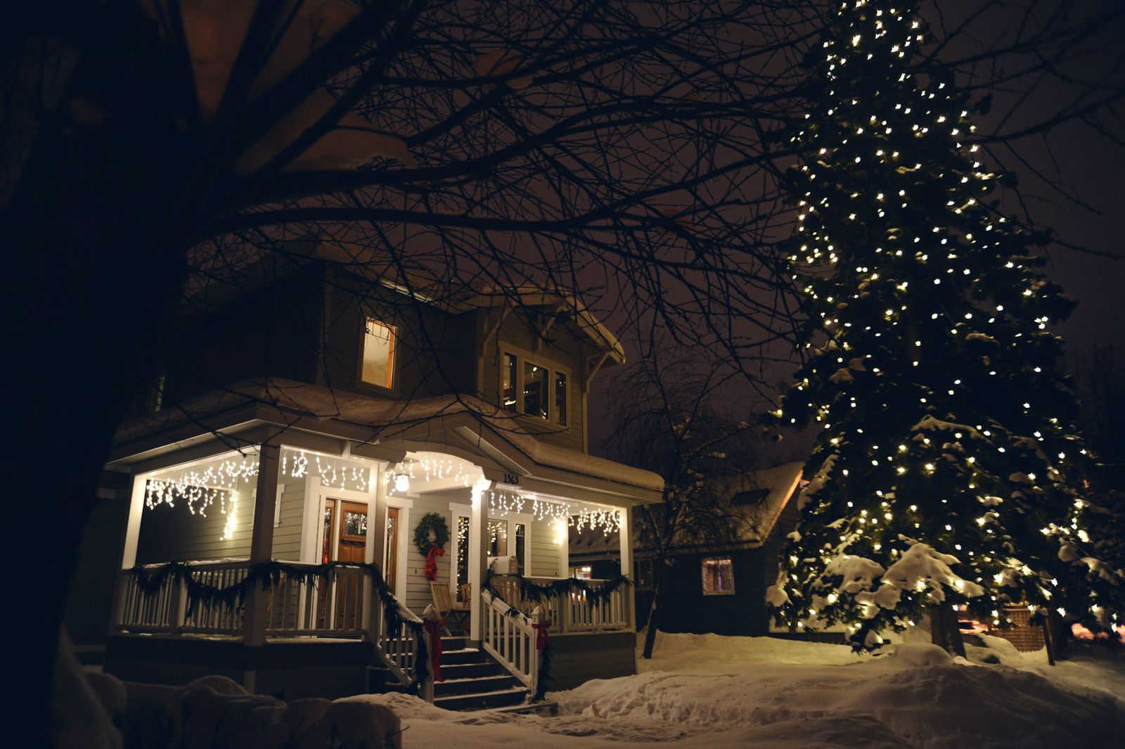 Tall evergreen covered in lights beside a porch trimmed in white icicle lights
