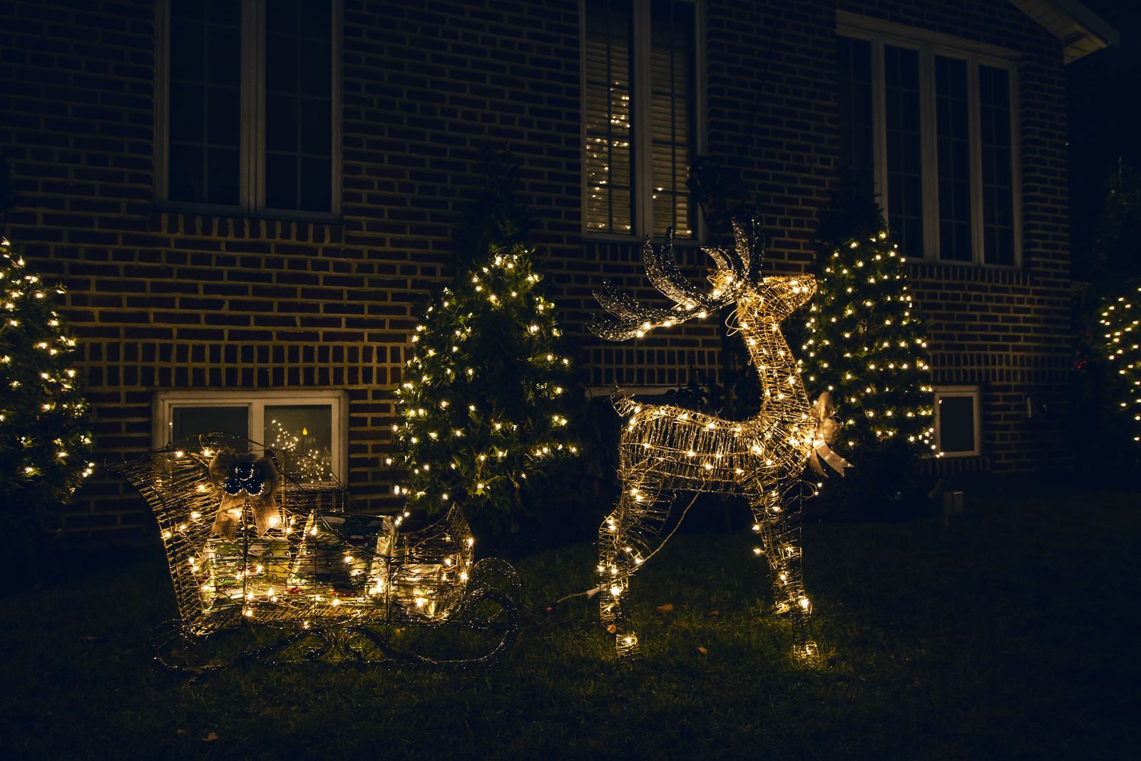 Lit reindeer and sleigh on a lawn in front of small evergreens wrapped in lights